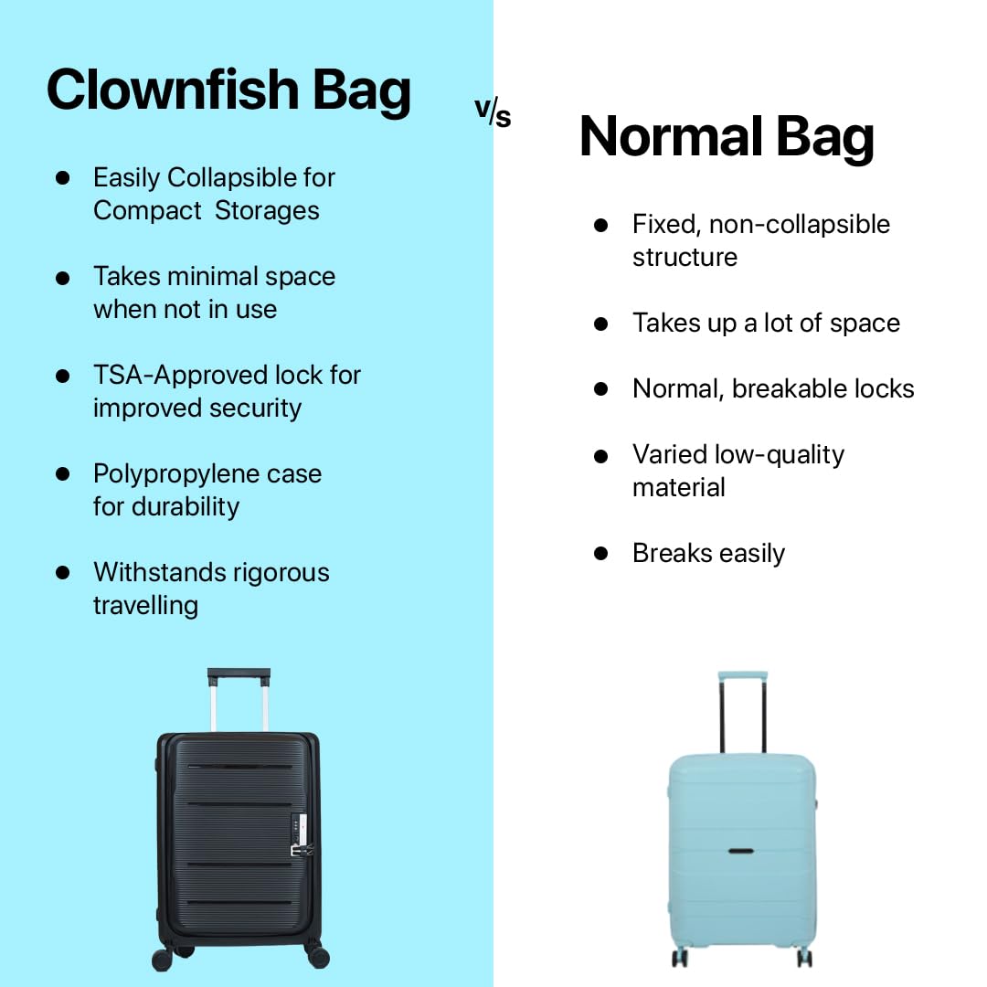 THE CLOWNFISH Collapsible Series Luggage Polypropylene Hard Case Suitcase Spinner Eight Wheel Foldable Trolley Bag With Tsa Lock- Coffee (Small Size, 51 Cm-20 Inch), H-56 Centimeters