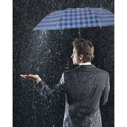 THE CLOWNFISH Umbrella 2 Fold Auto Open Waterproof Pongee Umbrellas For Men and Women (Checks Design- Light Blue)